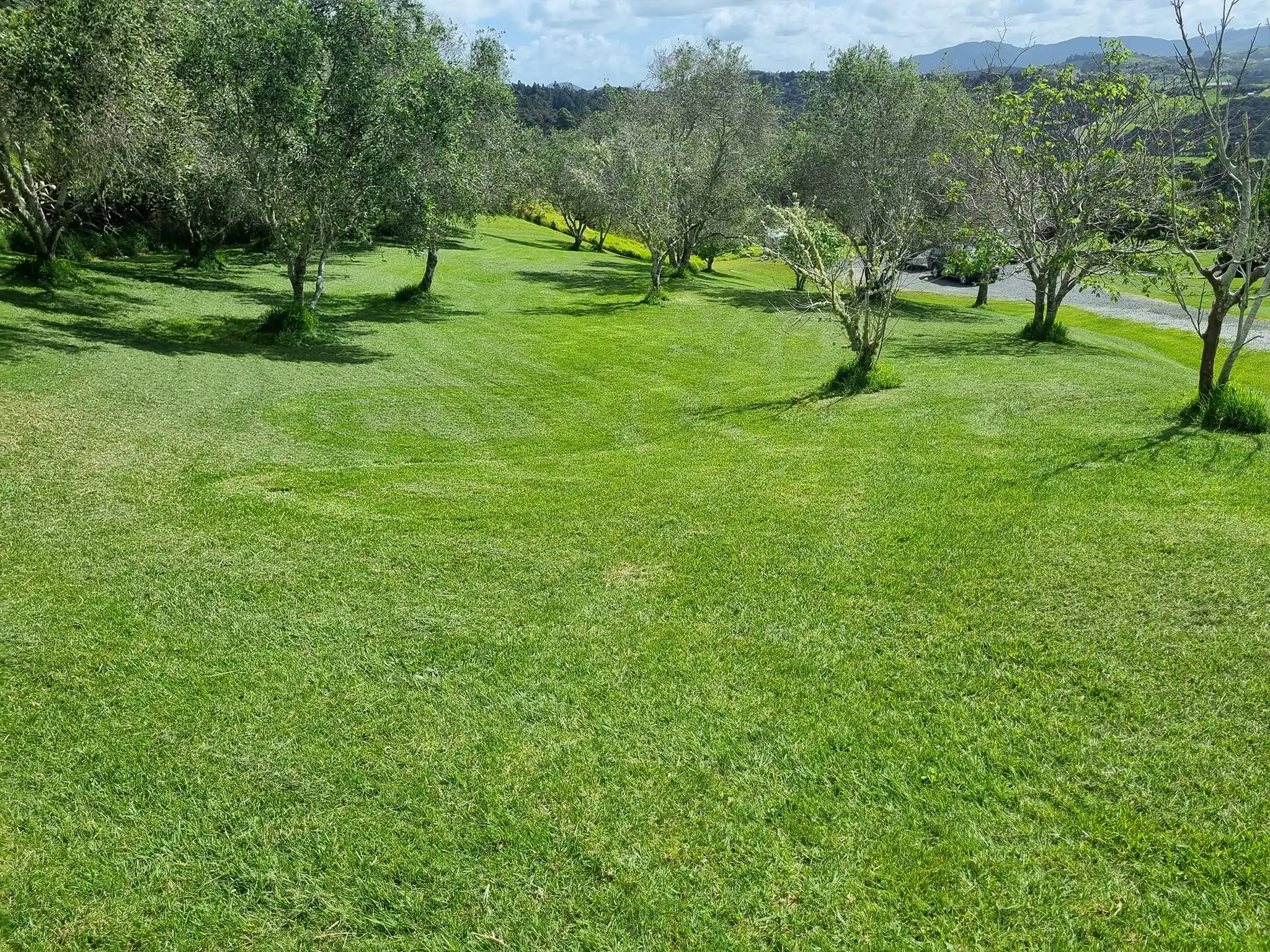 after lawn mow 2 mangwhai lawn mowed