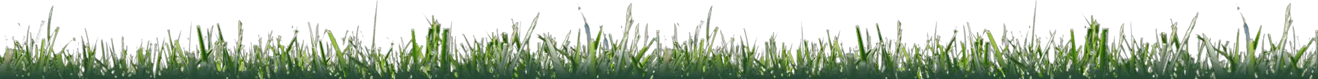 grass lawn used as a separator 